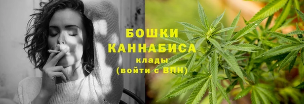 сатива Абинск