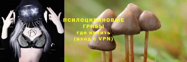 сатива Абинск