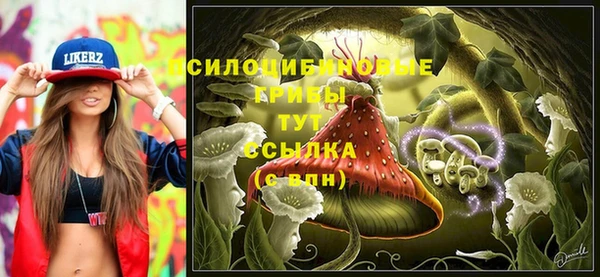 сатива Абинск