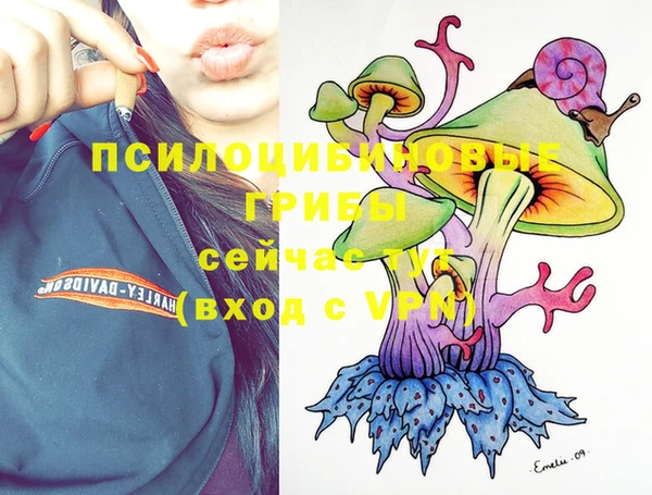 сатива Абинск