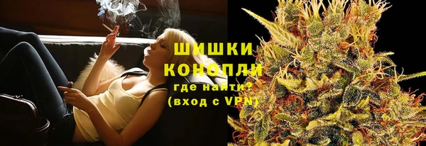 сатива Абинск