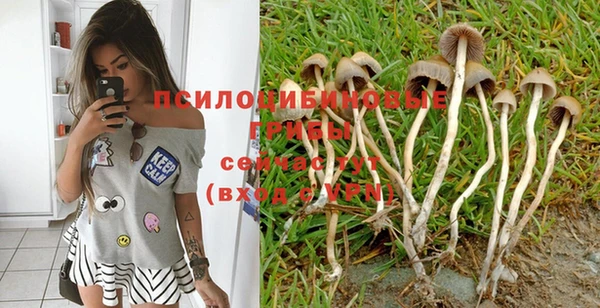 сатива Абинск