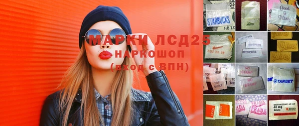 сатива Абинск