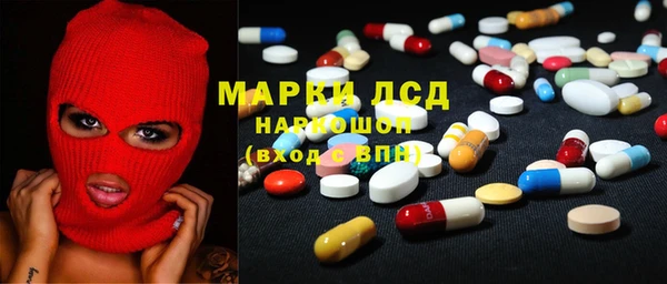 сатива Абинск